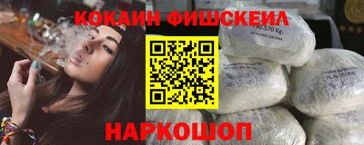 крисы Славгород