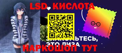 крисы Славгород