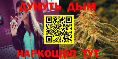 крисы Славгород