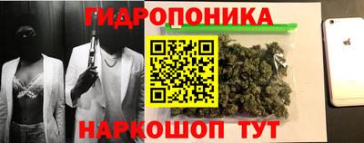 гидра Славянск-на-Кубани
