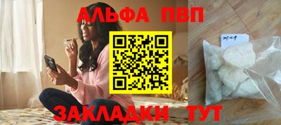 крисы Славгород