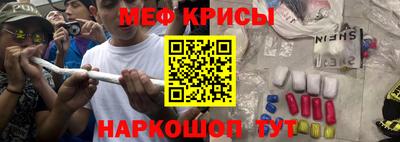 крисы Славгород