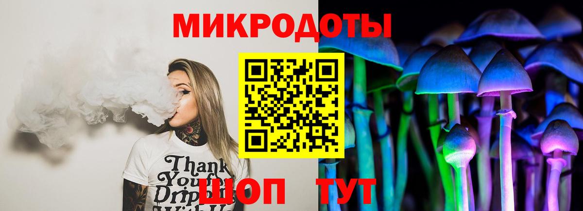 Галлюциногенные грибы Psilocybine cubensis Алексеевка